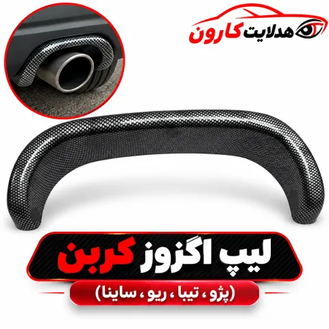 لیپ اگزوز کربن